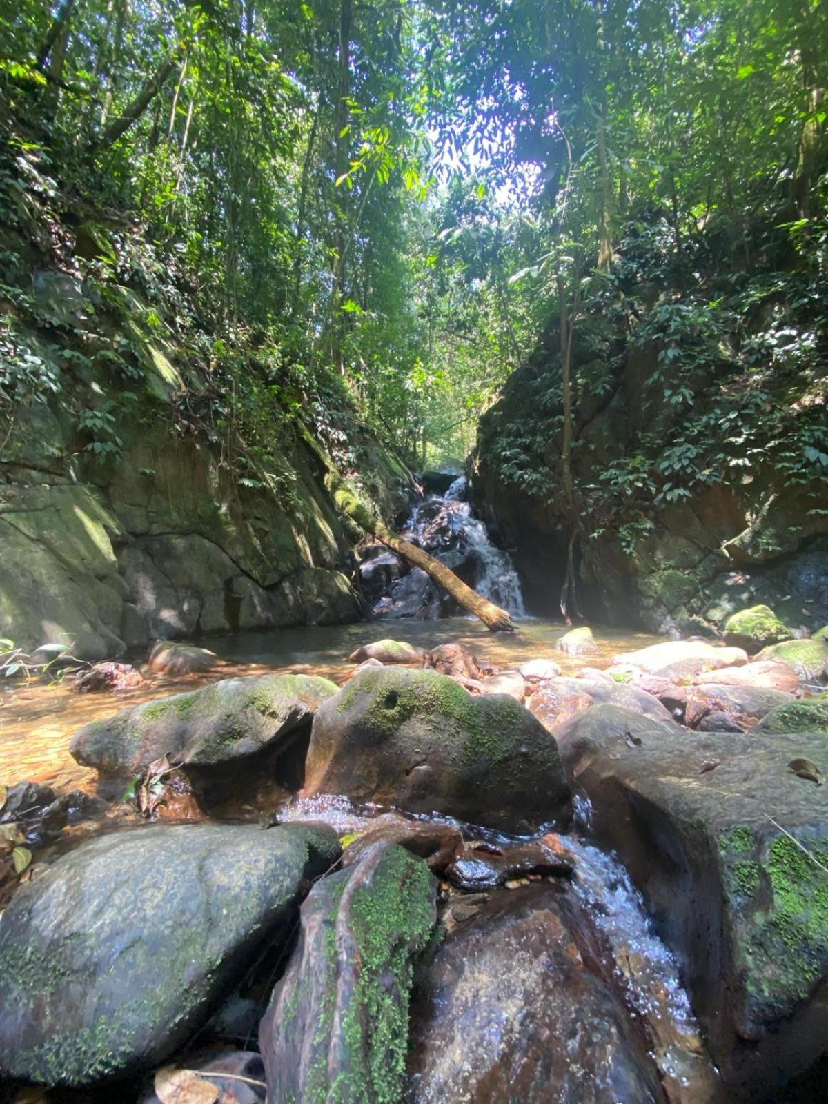 Eco Trekking Lodge, Bar & Jungle Tour'S บูกิตลาวัง ภายนอก รูปภาพ