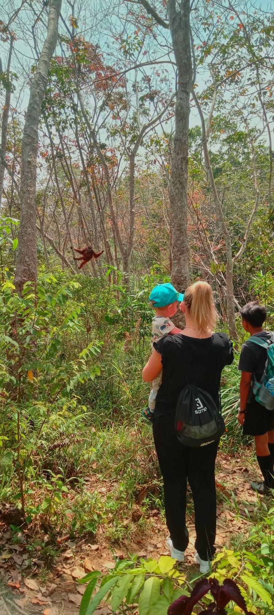 Eco Trekking Lodge, Bar & Jungle Tour'S บูกิตลาวัง ภายนอก รูปภาพ