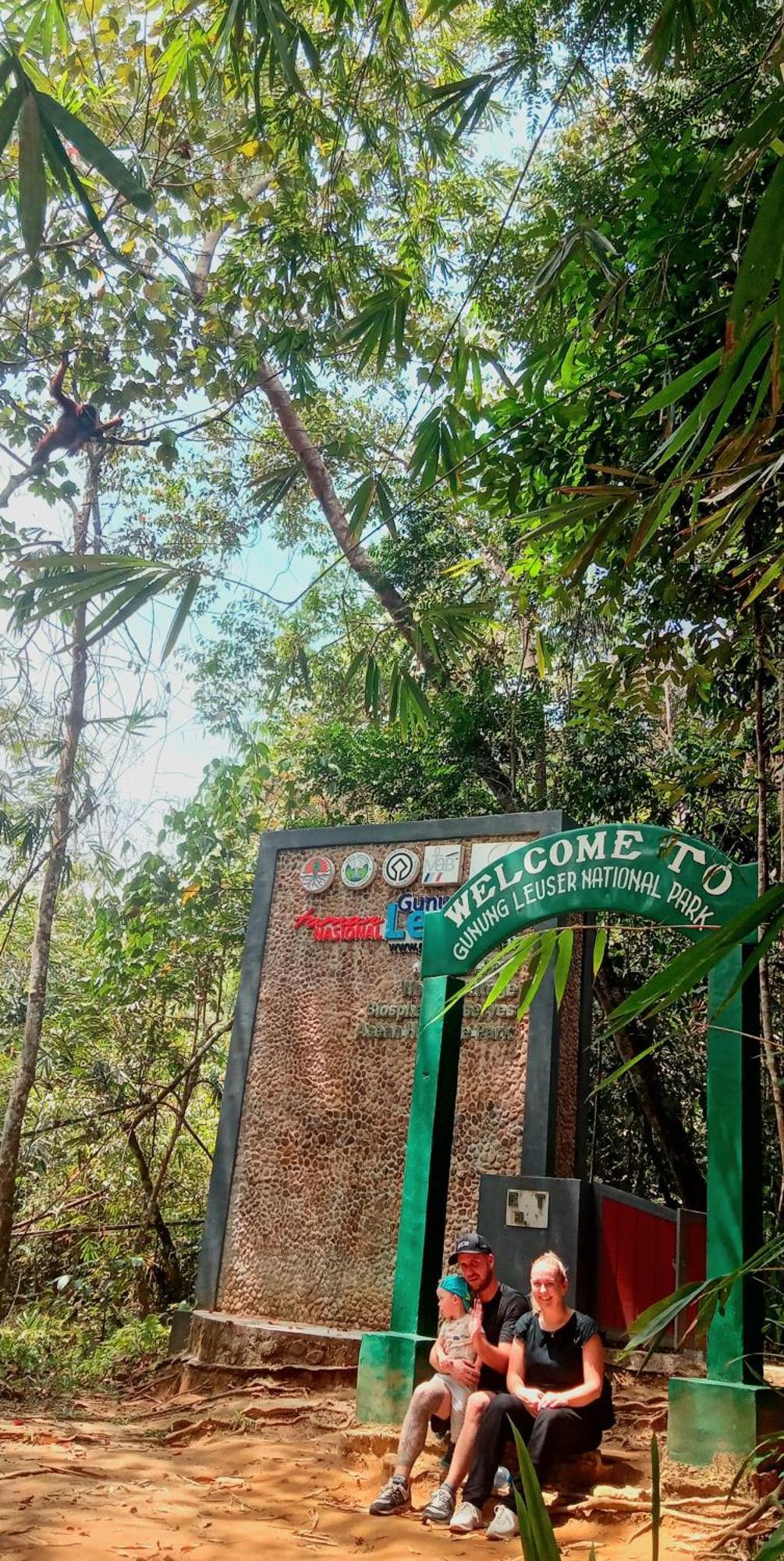 Eco Trekking Lodge, Bar & Jungle Tour'S บูกิตลาวัง ภายนอก รูปภาพ
