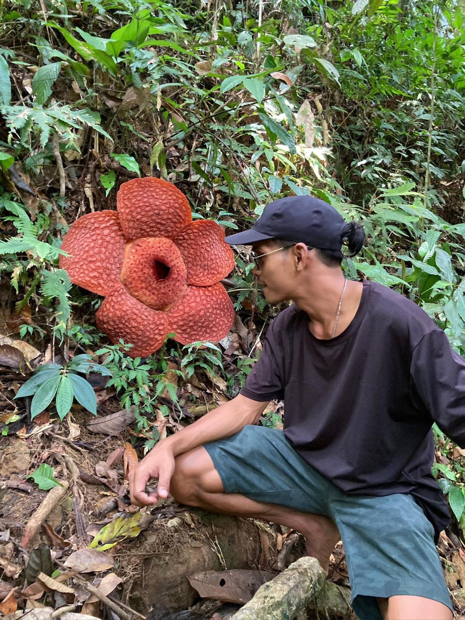 Eco Trekking Lodge, Bar & Jungle Tour'S บูกิตลาวัง ภายนอก รูปภาพ
