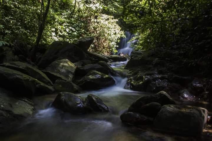 Eco Trekking Lodge, Bar & Jungle Tour'S บูกิตลาวัง ภายนอก รูปภาพ