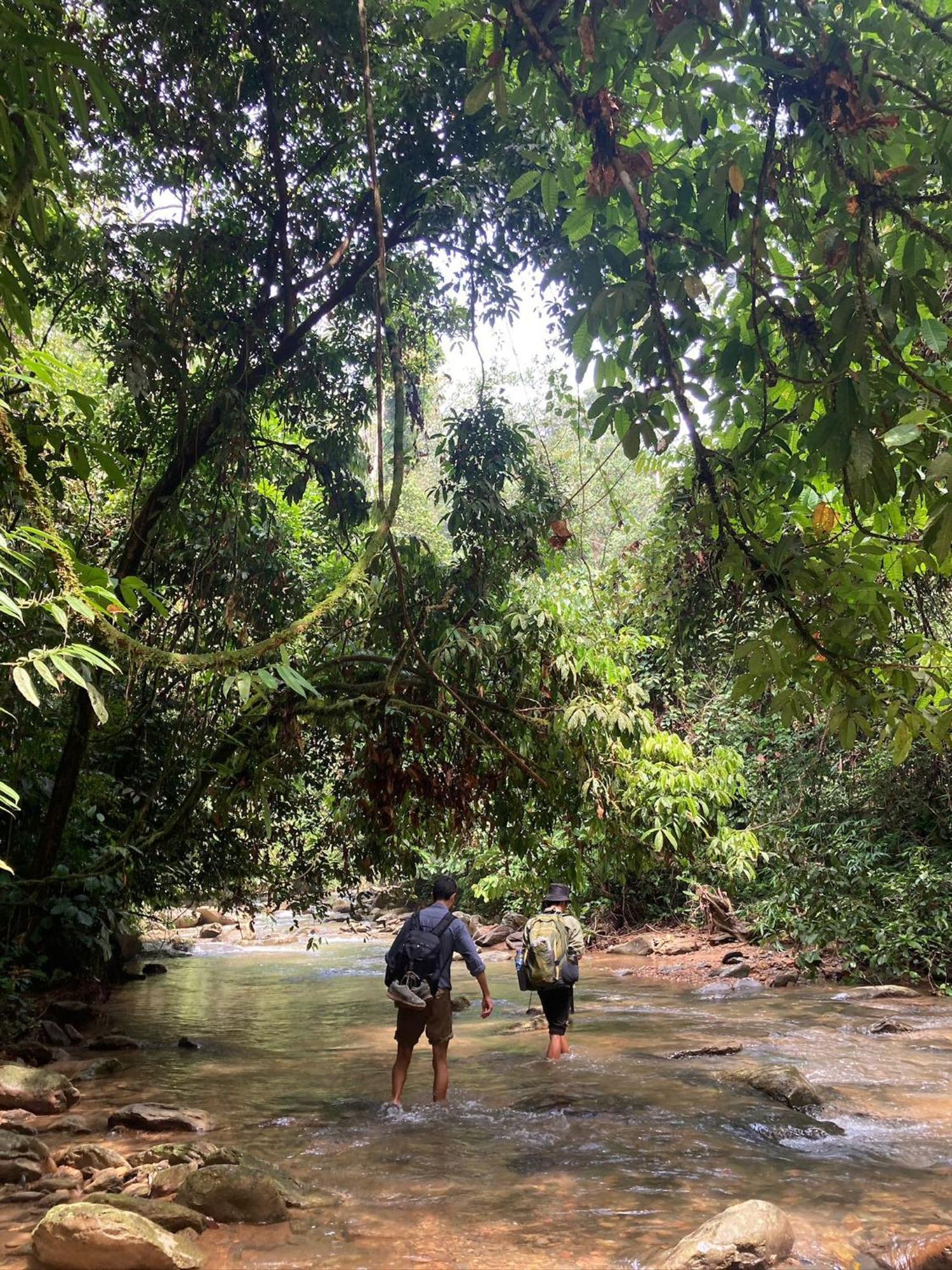 Eco Trekking Lodge, Bar & Jungle Tour'S บูกิตลาวัง ภายนอก รูปภาพ