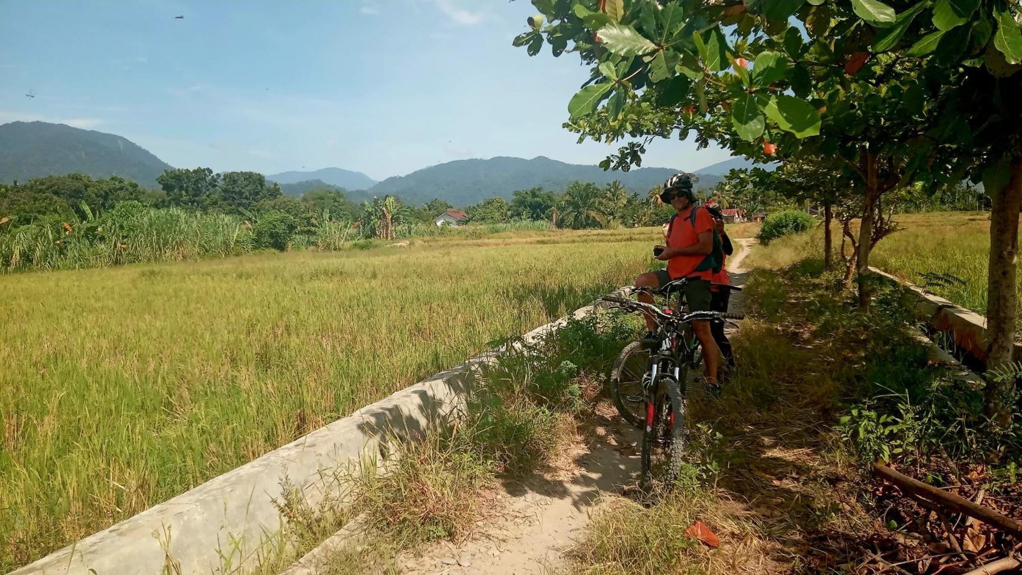 Eco Trekking Lodge, Bar & Jungle Tour'S บูกิตลาวัง ภายนอก รูปภาพ