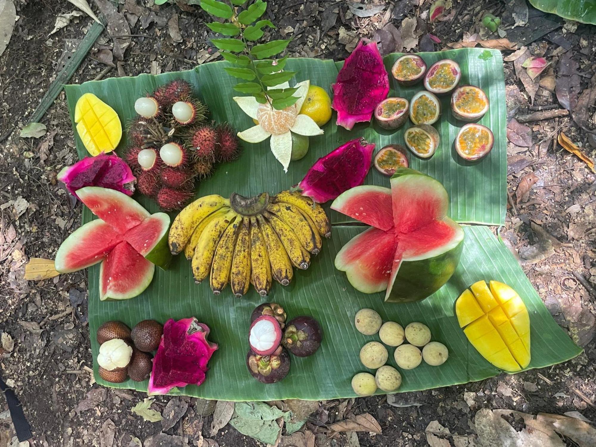 Eco Trekking Lodge, Bar & Jungle Tour'S บูกิตลาวัง ภายนอก รูปภาพ
