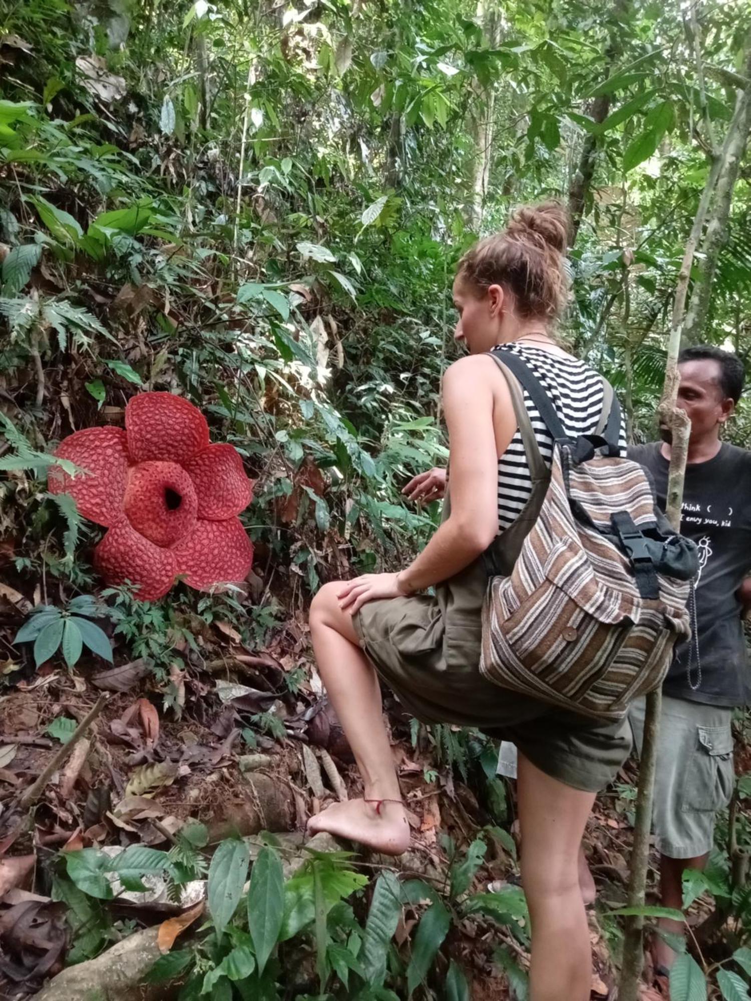 Eco Trekking Lodge, Bar & Jungle Tour'S บูกิตลาวัง ภายนอก รูปภาพ